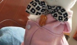 微密猫最新爆料事件,最新爆料事件背后的真相与内幕