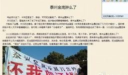 盐城金鹰爆料最新消息,揭秘神秘项目背后的惊人真相